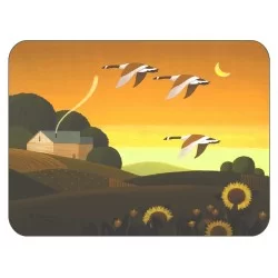 Summer Gold placemats corkbacked with hard surface