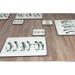 Wooden table with Set of 6 Penguin Parade drinks coasters by Plymouth Pottery